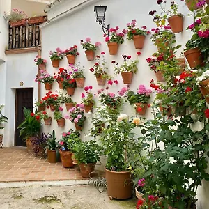 Amal Appartement