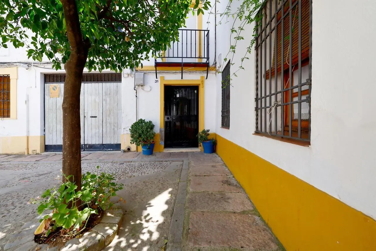 San Basilio, Parking Incluido Junto Al Casco Historico Apartment Cordoba Spain